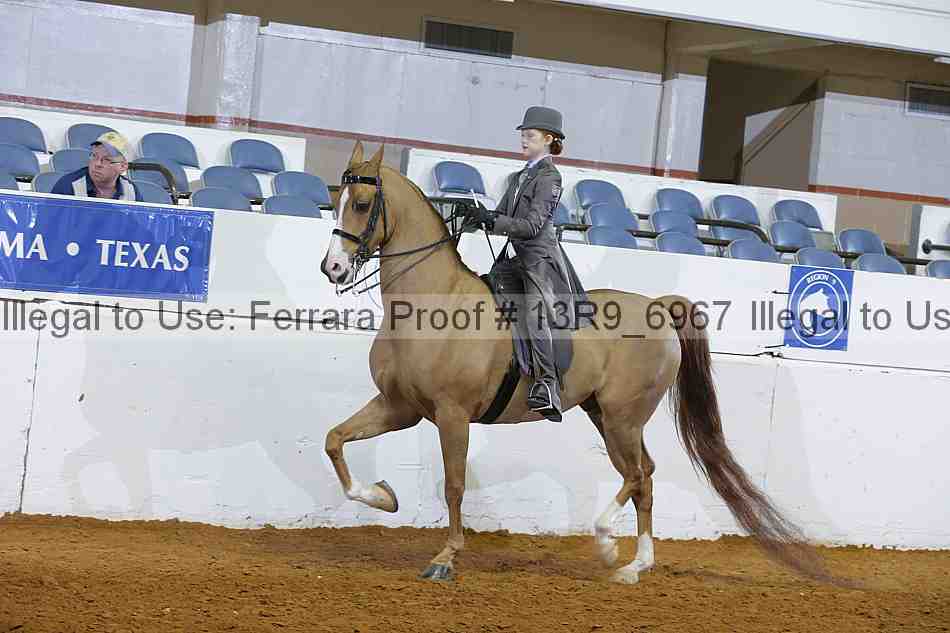 Proof 13r9_6967