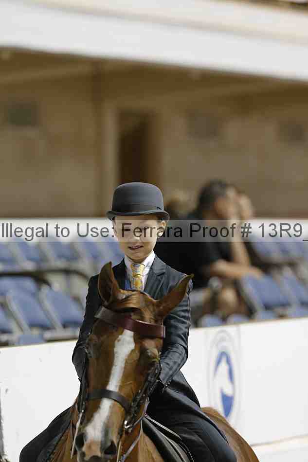 Proof 13r9_6977