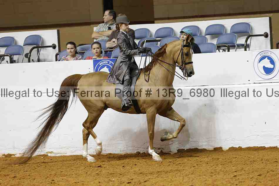 Proof 13r9_6980