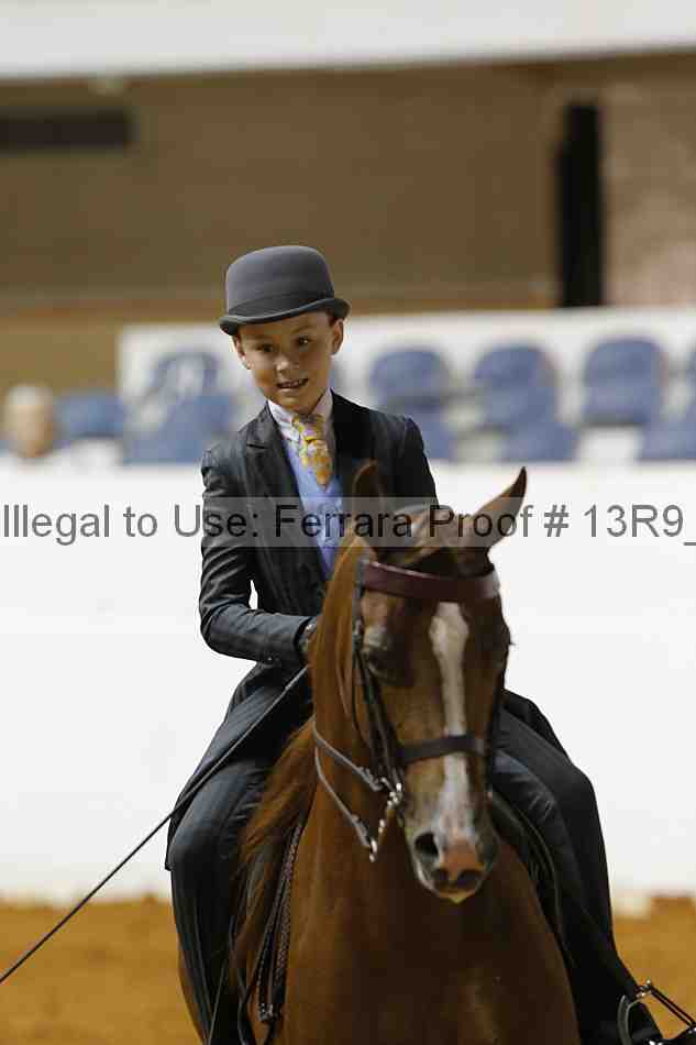Proof 13r9_6981