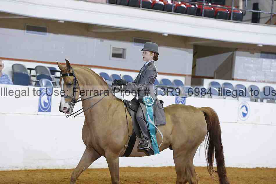 Proof 13r9_6984