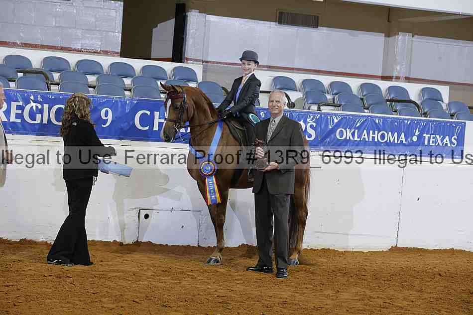 Proof 13r9_6993