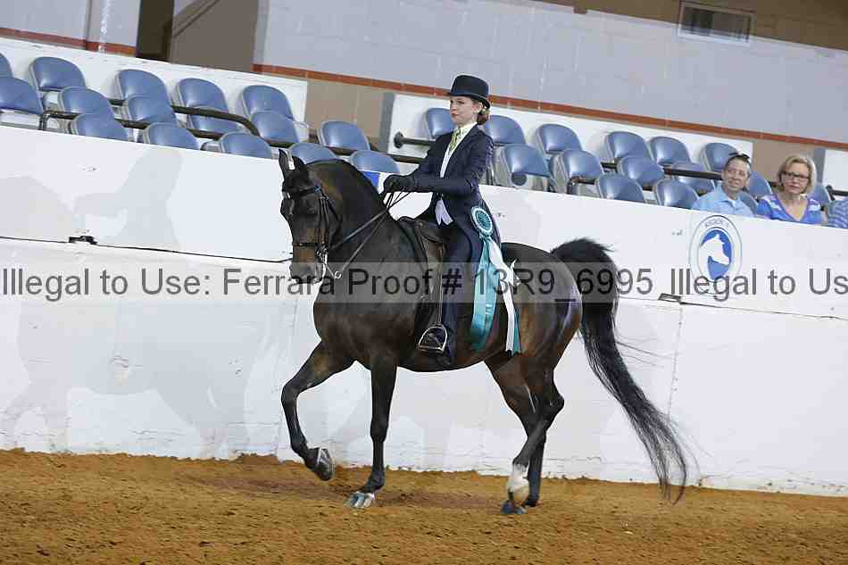 Proof 13r9_6995