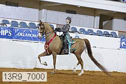 13r9_7000 proof