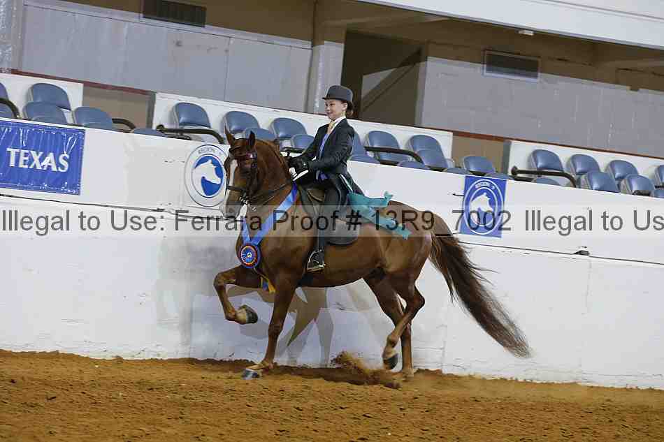 Proof 13r9_7002