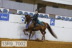 13r9_7002 proof