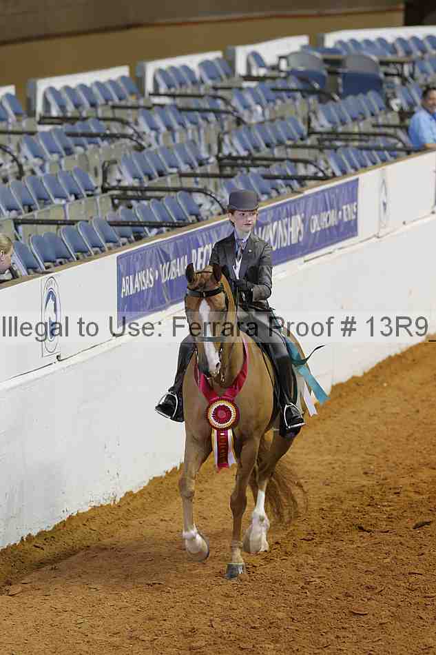 Proof 13r9_7005