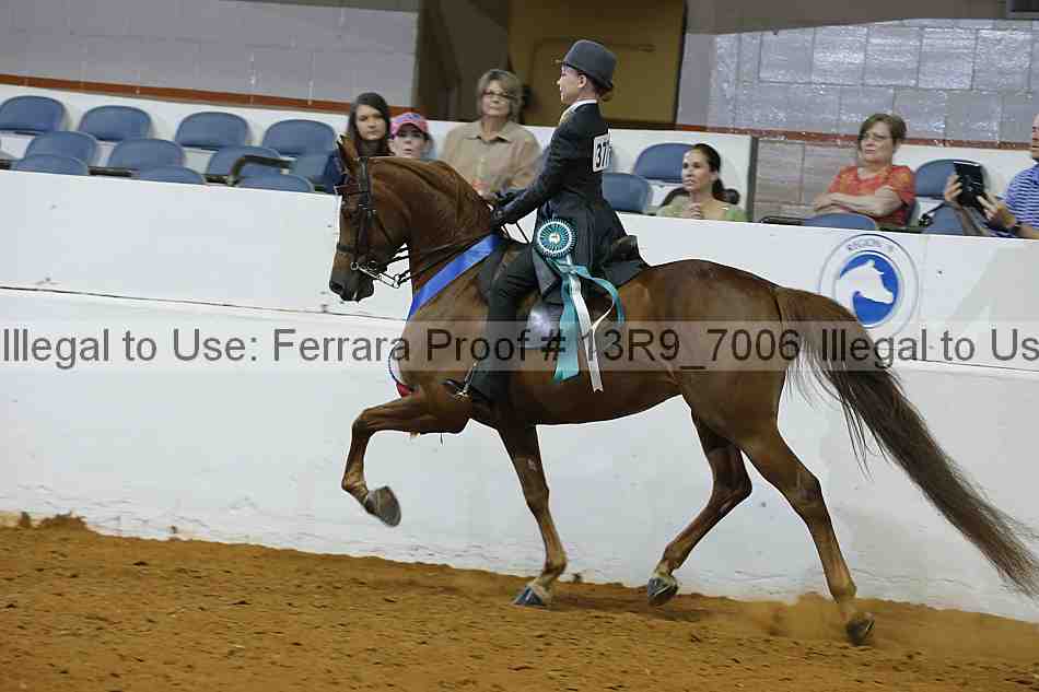 Proof 13r9_7006