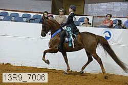 13r9_7006 proof