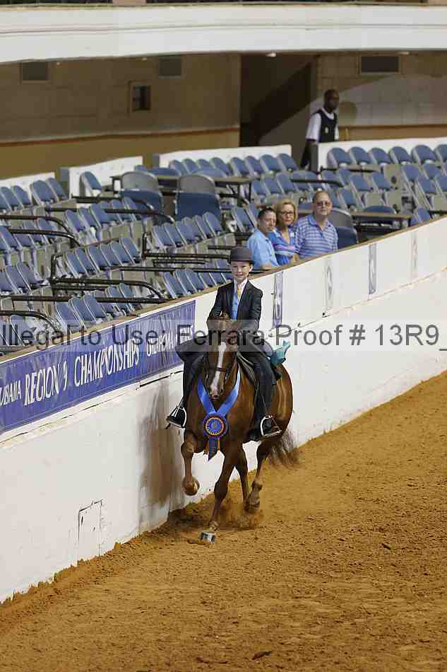 Proof 13r9_7007