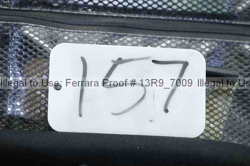Proof 13r9_7009