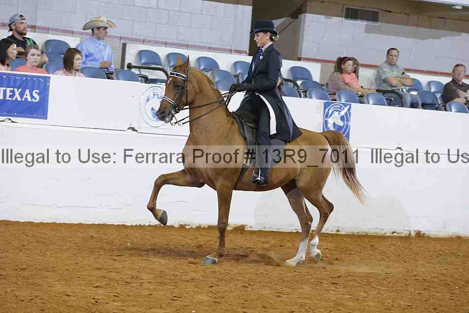 Proof 13r9_7011