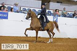 13r9_7011 proof