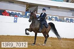 13r9_7012 proof