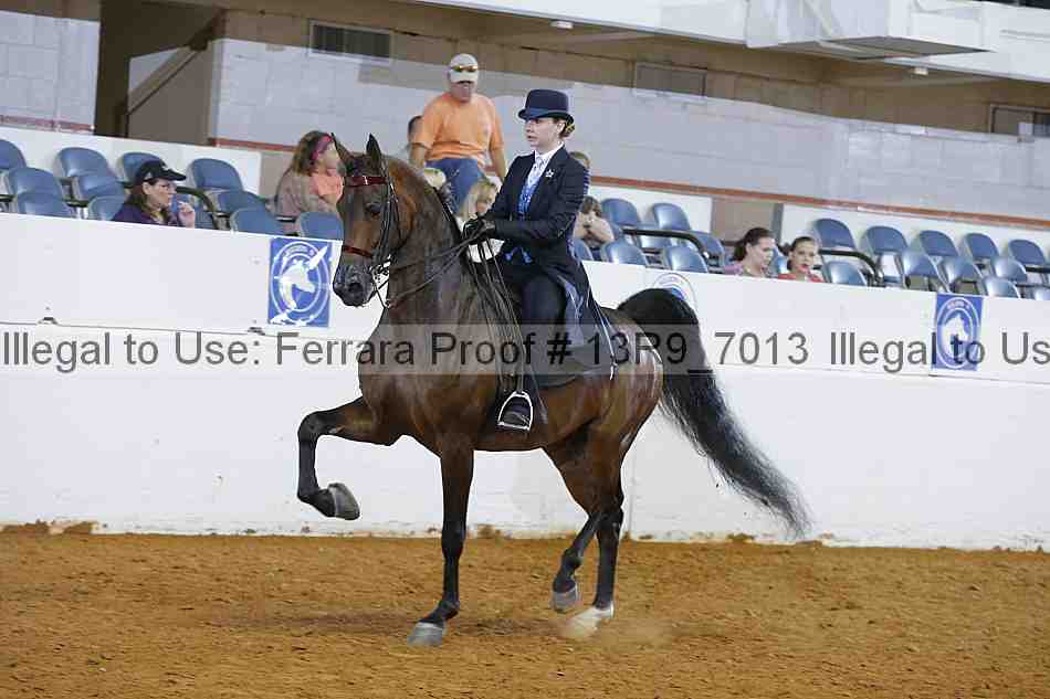 Proof 13r9_7013