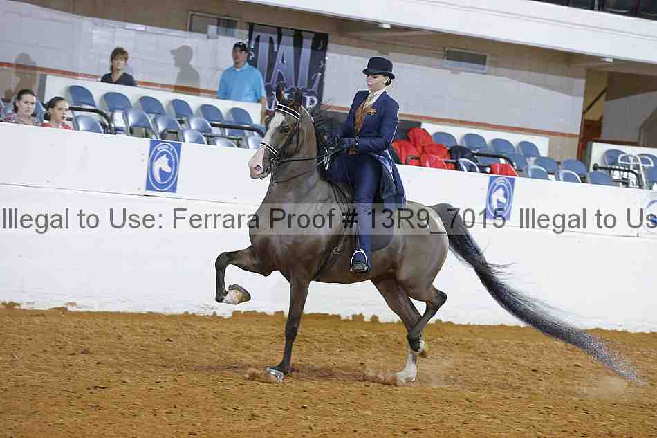 Proof 13r9_7015