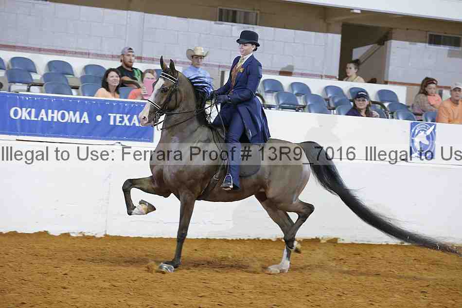 Proof 13r9_7016