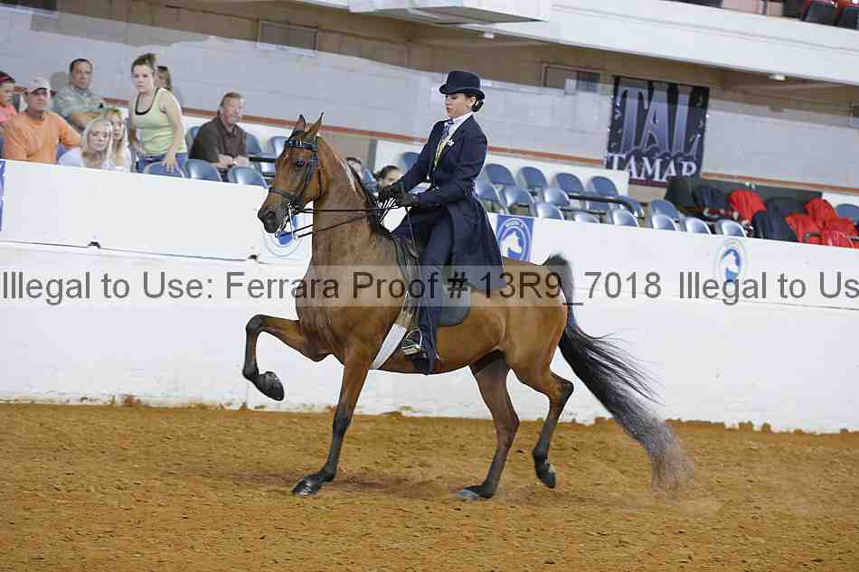 Proof 13r9_7018