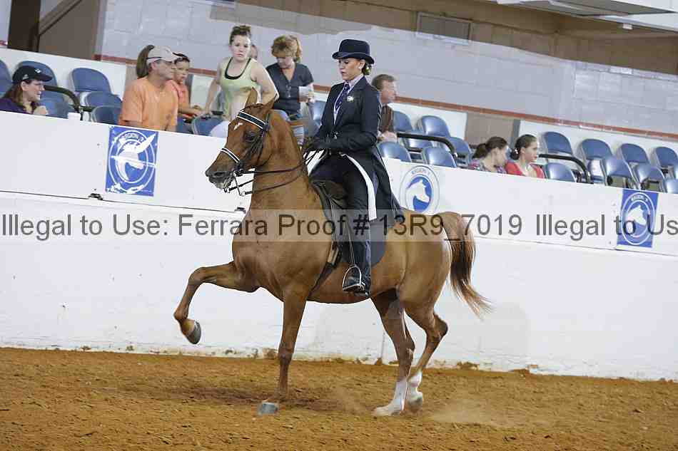 Proof 13r9_7019