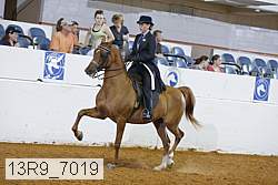 13r9_7019 proof