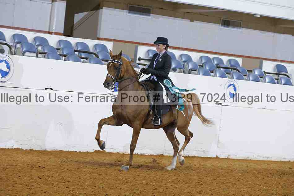 Proof 13r9_7024