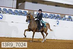 13r9_7024 proof