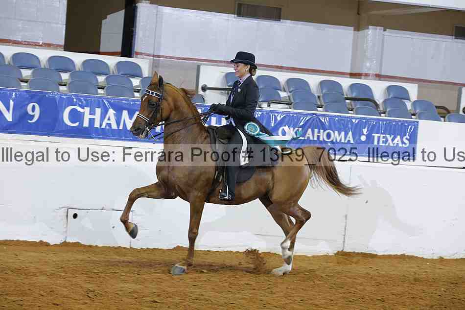 Proof 13r9_7025