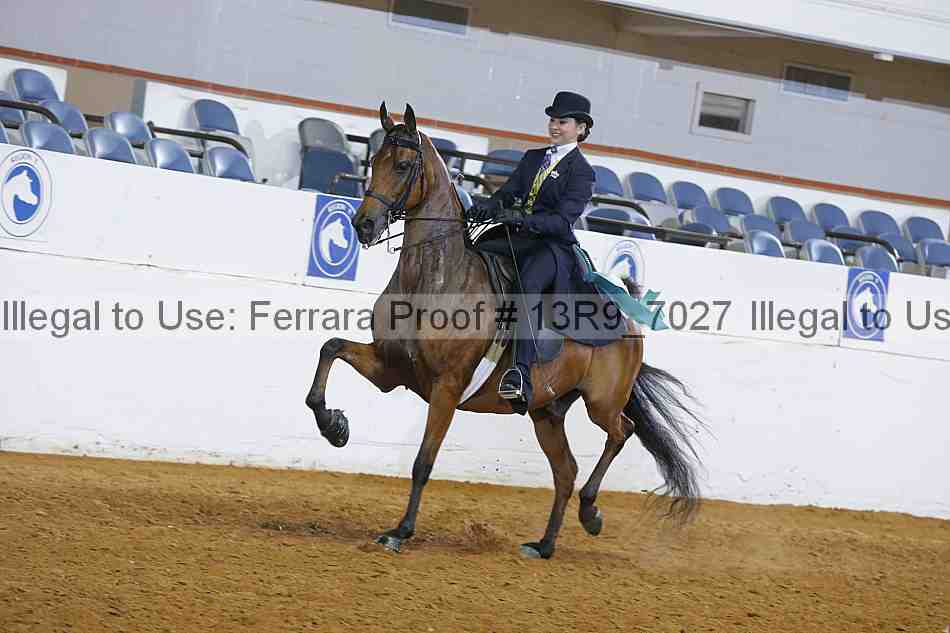 Proof 13r9_7027