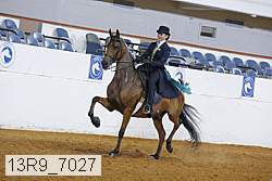 13r9_7027 proof