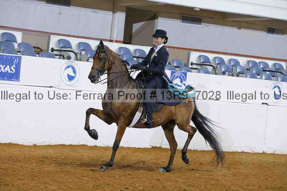 Proof 13r9_7028