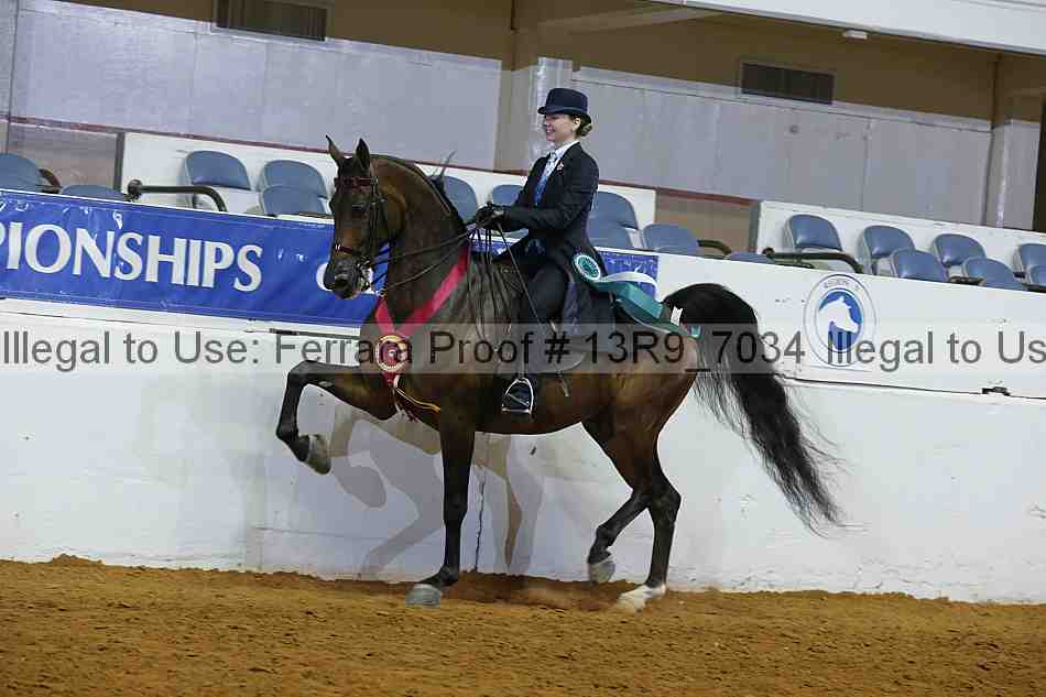 Proof 13r9_7034
