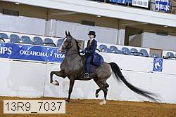13r9_7037 proof