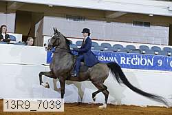 13r9_7038 proof