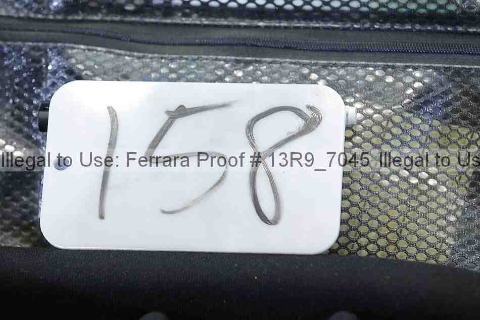 Proof 13r9_7045