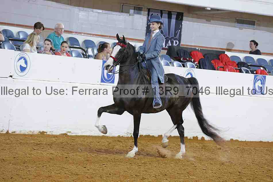 Proof 13r9_7046