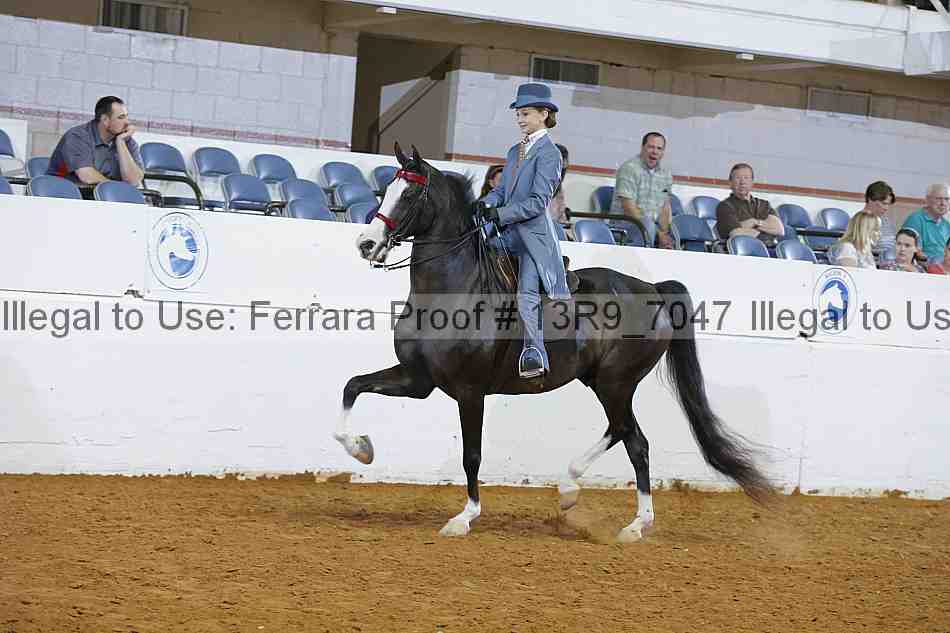 Proof 13r9_7047