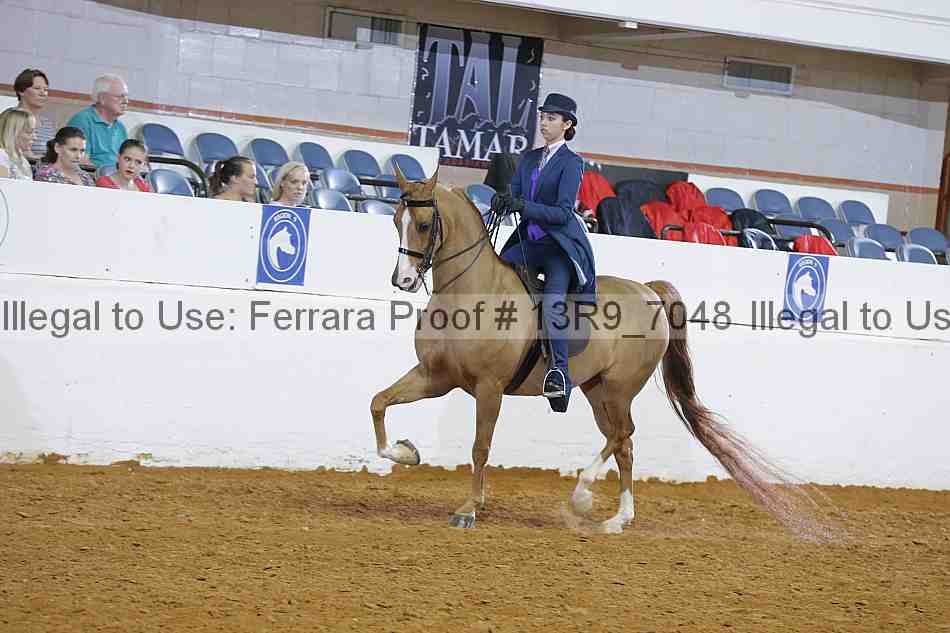 Proof 13r9_7048