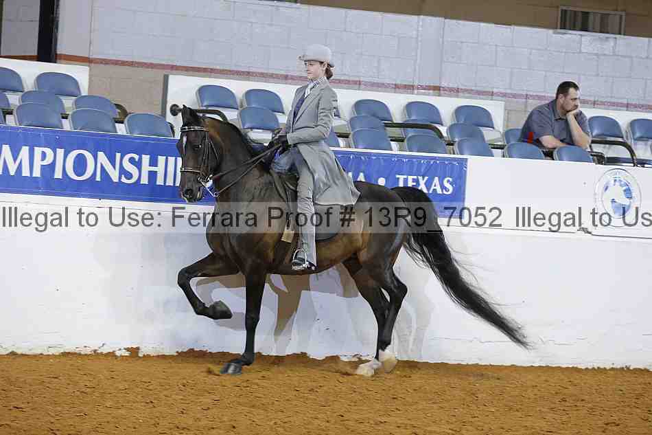 Proof 13r9_7052