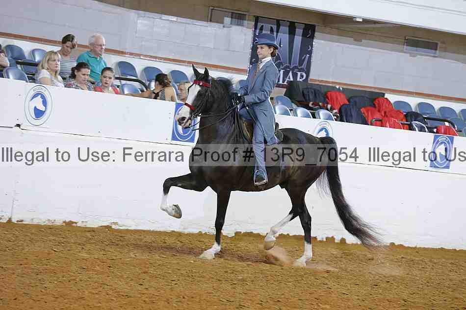 Proof 13r9_7054