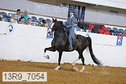 13r9_7054 proof