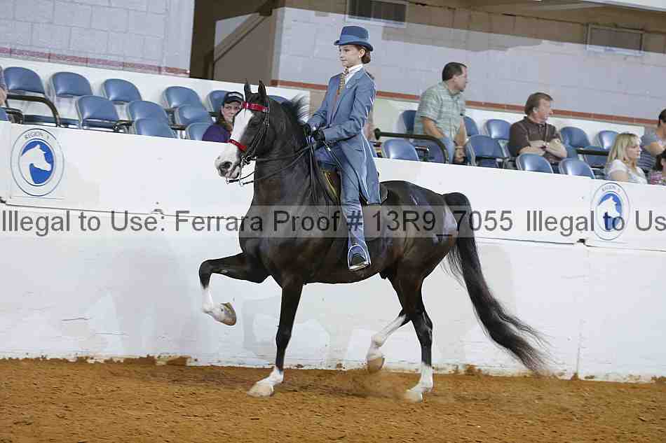 Proof 13r9_7055