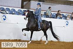 13r9_7055 proof