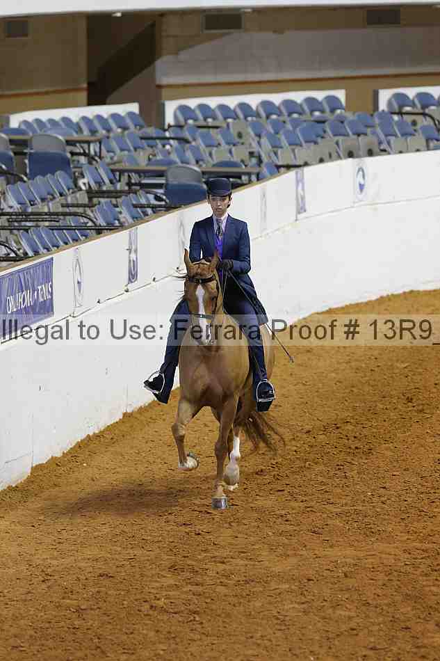 Proof 13r9_7056