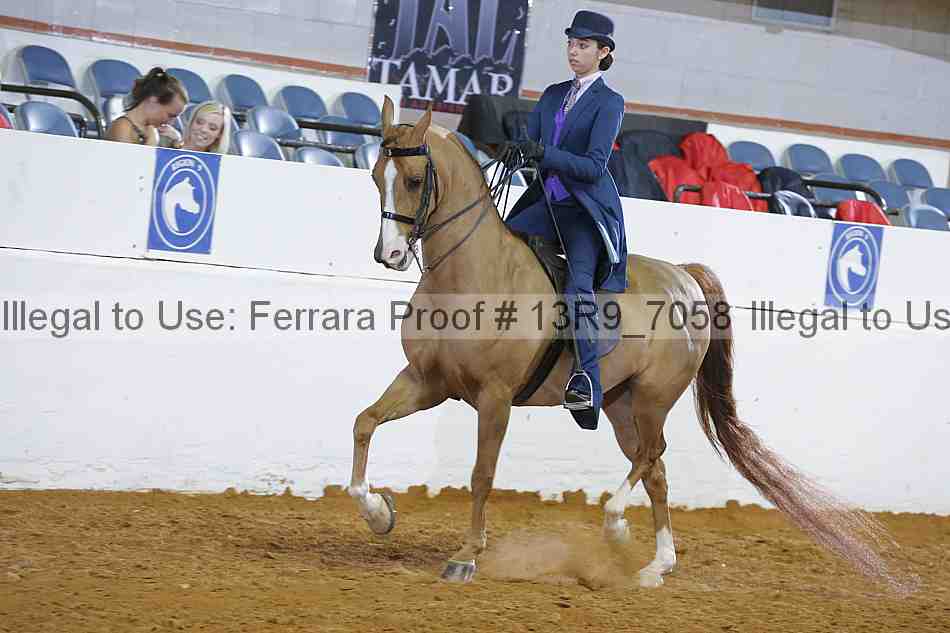 Proof 13r9_7058