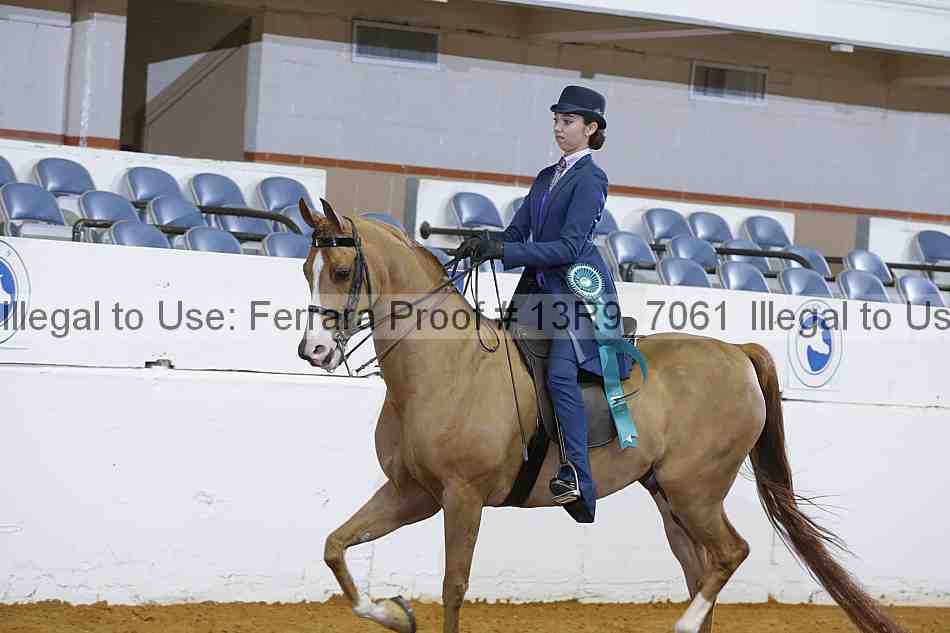 Proof 13r9_7061
