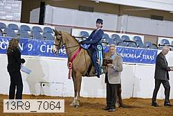 13r9_7064 proof