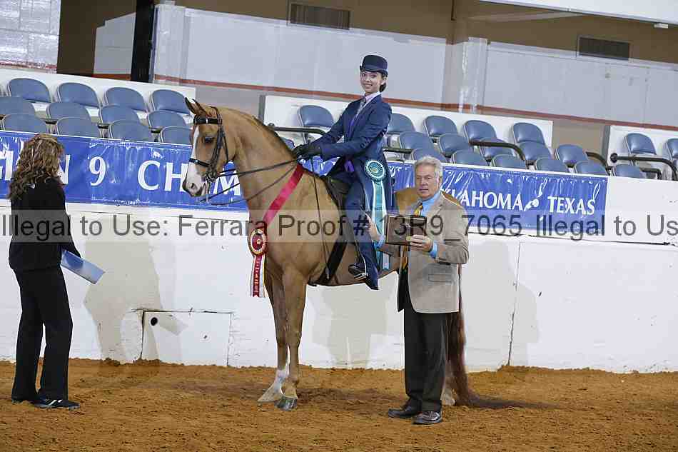 Proof 13r9_7065