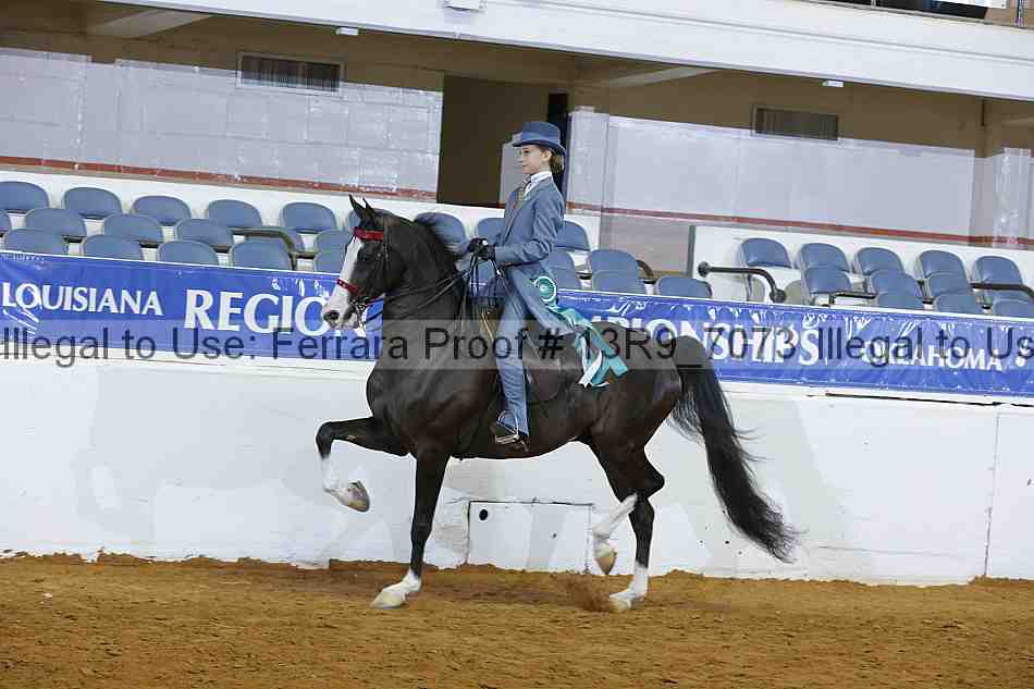 Proof 13r9_7073