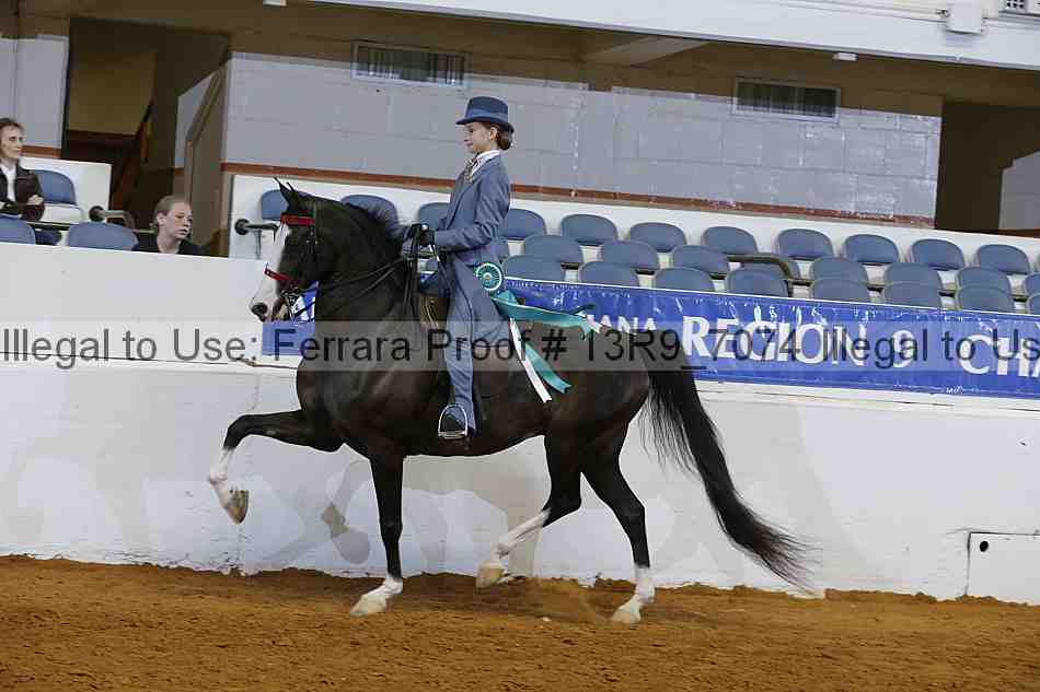 Proof 13r9_7074