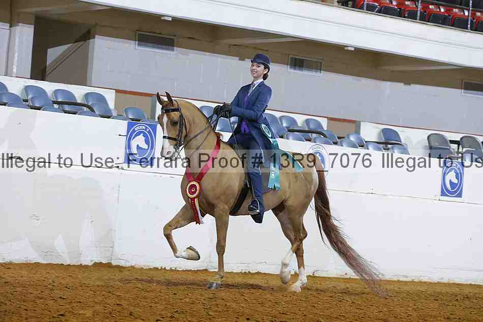 Proof 13r9_7076